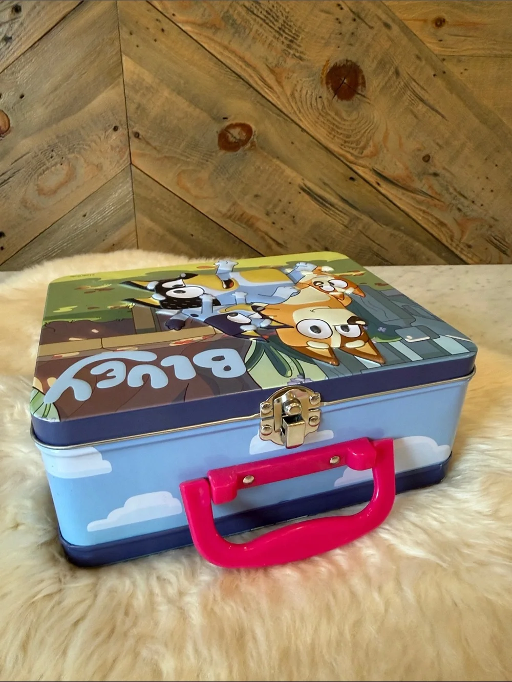 Bluey lunchbox puzzle